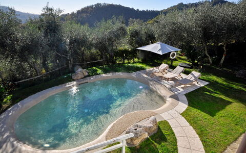 Casa Roberto: Piscina, Giochi D'Acqua, Giardino, Ricorrere, Landscaping, Resort Citta ', Hacienda, Villa, Backyard, Eco Hotel