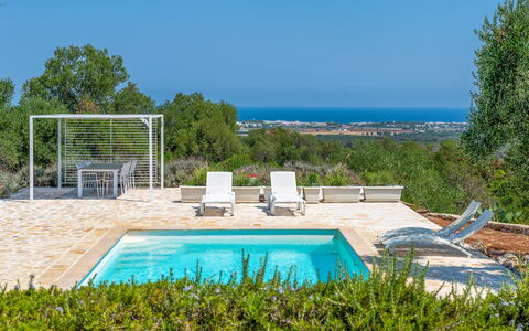Villa Butterfly: Blu, Giardino, Shade, Landscaping, Design, Ricorrere, Mobili Da Esterno, Backyard, Eco Hotel