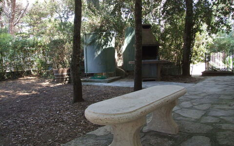 Villa Pineta: Banco, Proprietà, Mobilia, Albero, Tavolo, Panchina, Erba, Camera, Immobiliare, Pianta