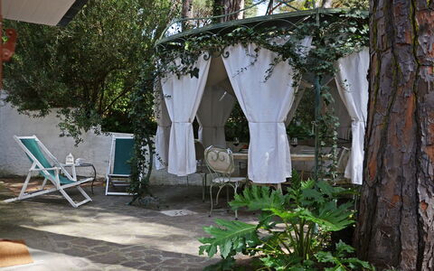 Villa Pineta: Mobilia, Sedia, Mobili Da Esterno, Shade, Giardino, Tavolo Esterno, Struttura Esterna, Backyard, Cortile, Terrazza