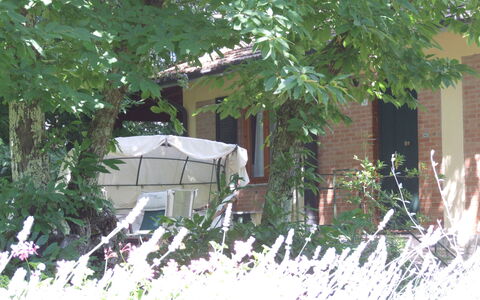 Villa La Quercia: Casa, Proprietà, Casa, Albero, Villetta, Immobiliare, Quartiere, Cortile, Ramo, Pianta
