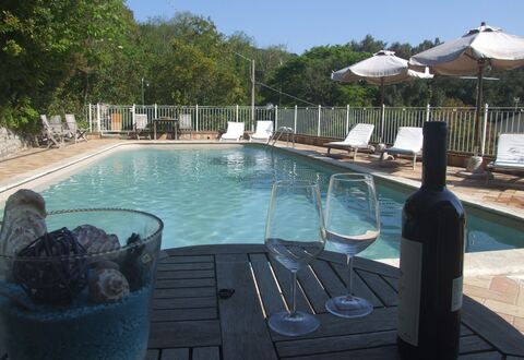 Villa Il Castagno: Acqua, Proprietà, Piscina, Azzurro, Pianta, Albero, Mobili Da Esterno, Bottiglia, Cielo, Tempo Libero