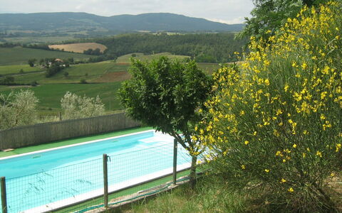 Casale Biancospino: Paesaggio Naturale, Giallo, Albero, Area Rurale, Erba, Primavera, Prato, Pianta, Paesaggio, Casa